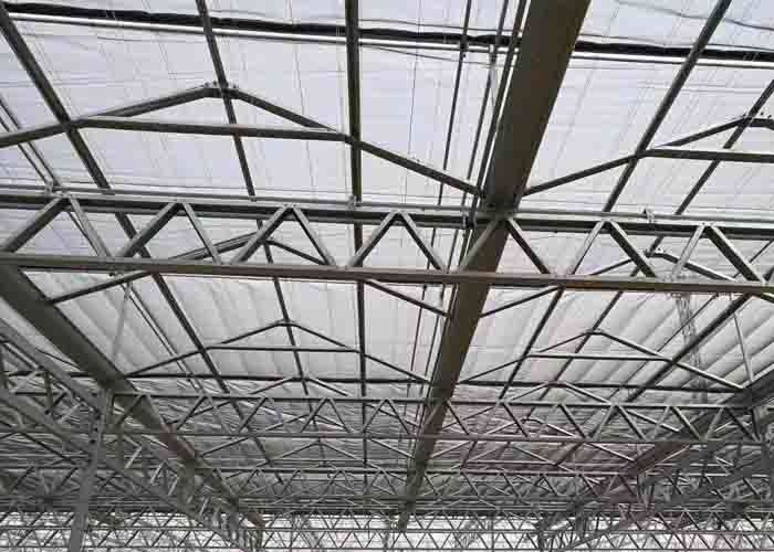 UV Resistant Polycarbonate Greenhouse 3 M - 8 M Height 3 Years Warranty