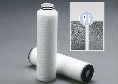 Asymmetric Polysulfone PS Membrane Pleated Filter Cartridge Filter Vessels For Pre Filter Pharmaceutical And Biological