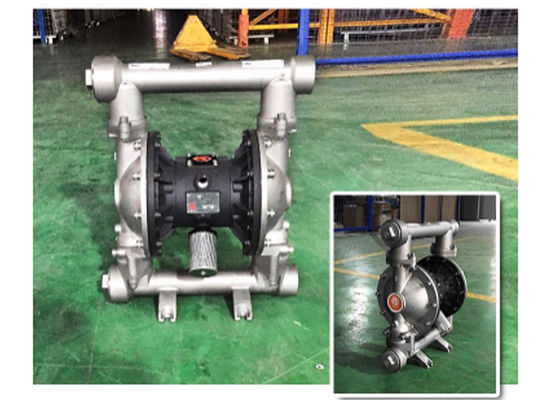 Stainless Steel Dual Pneumatic Operated Diaphragm Pump