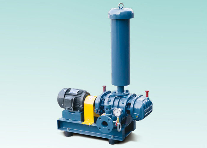 Corrosive / Toxic Gases Transfer Cast Iron Roots Blower Vacuum Pump DN300 Port