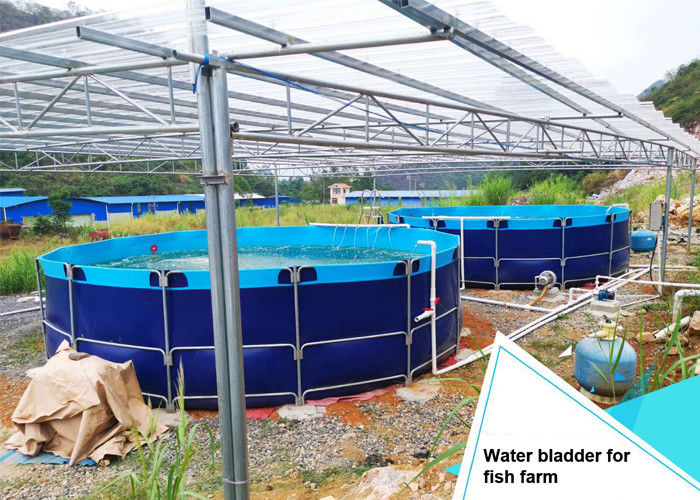 Flange Diameter 40m Fish Farming Water Bladder Tanks